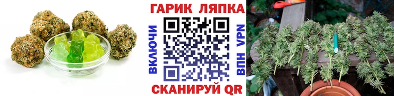 Купить закладки  Свободный  Еда ТГК конопля 